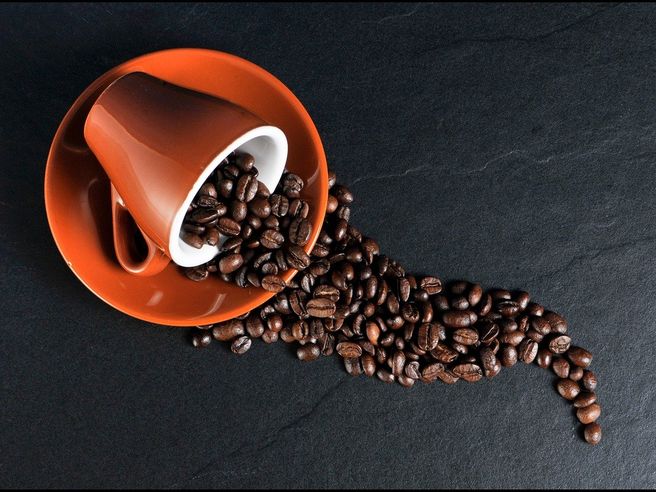 illycaffè aumento dei ricavi dell’11% nel primo semestre 2025